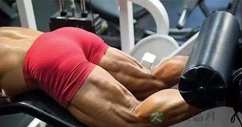 腿部肌肉怎么练 腿部肌肉怎么练