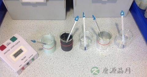 尿检蛋白质结果怎么看 尿检蛋白质结果怎么看
