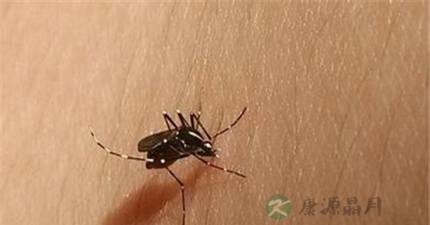 流行性乙型脑炎症状 流行性乙型脑炎症状