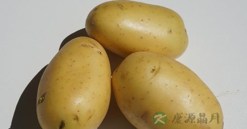 ab型血人多吗 ab型血人多吗