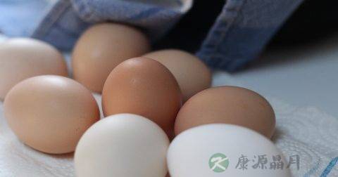 胆囊息肉症状表现 胆囊息肉症状表现