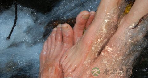 蜂窝性皮炎有什么特征