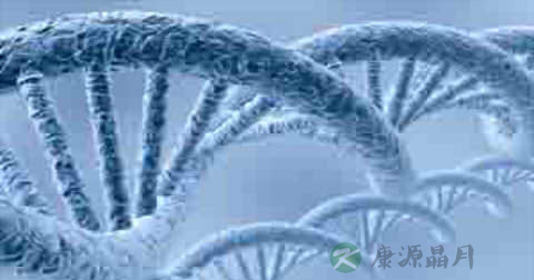 同型半胱氨酸高怎么办 同型半胱氨酸高怎么办