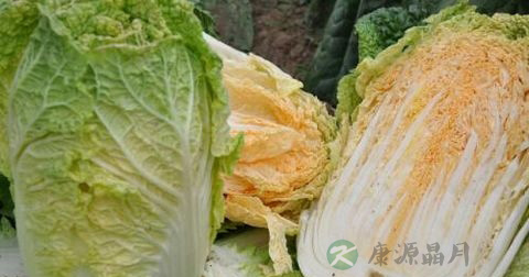 食物中毒看什么科室