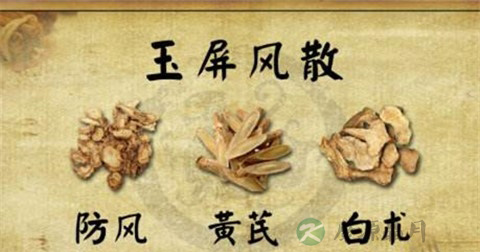 玉屏风散配方 玉屏风散配方