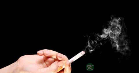 眼睑神经性皮炎特征
