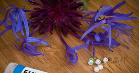 善存片是什么 善存片是什么
