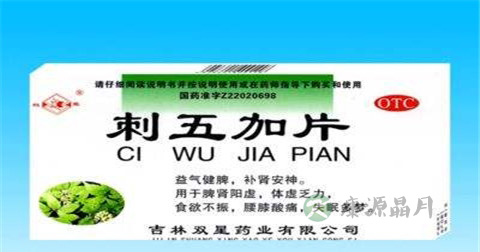 刺五加片的功效与作用 刺五加片的功效与作用