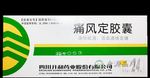 痛风定胶囊说明书 痛风定胶囊说明书