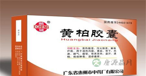 黄柏胶囊说明书 黄柏胶囊说明书