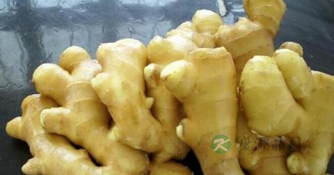 狐臭用什么药最有效果 狐臭用什么药最有效果