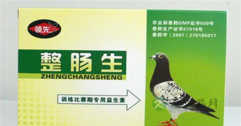 整肠生的功效和副作用 整肠生的功效和副作用