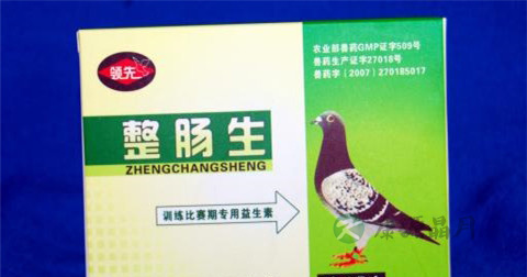 整肠生的功效和副作用 整肠生的功效和副作用
