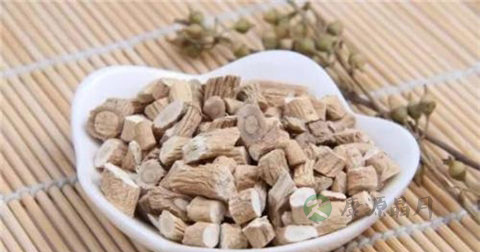 清热解毒的药哪个好