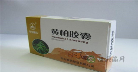 黄柏胶囊说明书 黄柏胶囊说明书