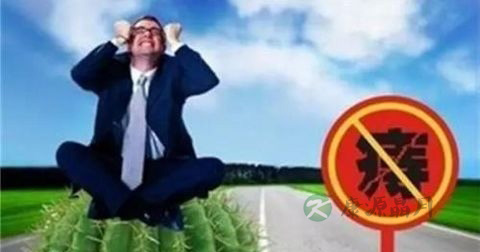 轻微痔疮用什么药最好 轻微痔疮用什么药最好