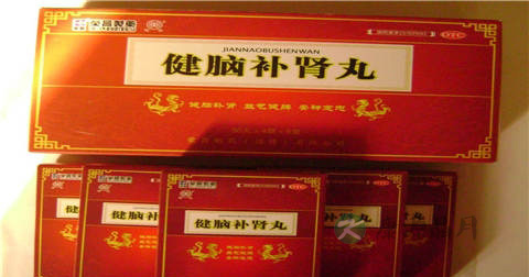 健脑补肾丸说明书 健脑补肾丸说明书
