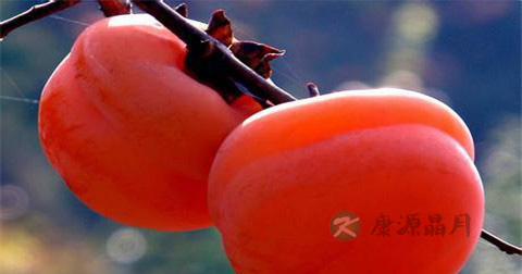 痔疮抹什么药最好 痔疮抹什么药最好