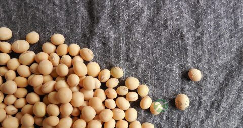 抗过敏药物有哪些 抗过敏药物有哪些
