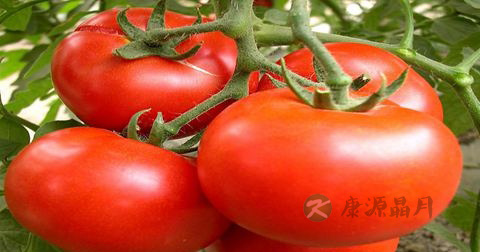 阴道炎用什么药治疗 阴道炎用什么药治疗