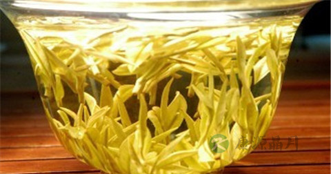 咽炎可以泡什么来喝