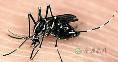 登革热红疹症状怎么治