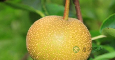 阴亏吃什么好 阴亏吃什么好