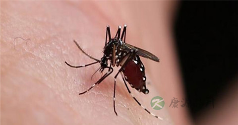 什么是乙脑的主要传染源 什么是乙脑的主要传染源