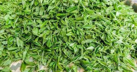 甲沟炎化脓了怎么办 甲沟炎化脓了怎么办