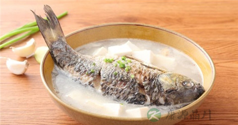 呃逆用什么药