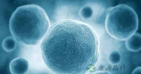怎样预防布病
