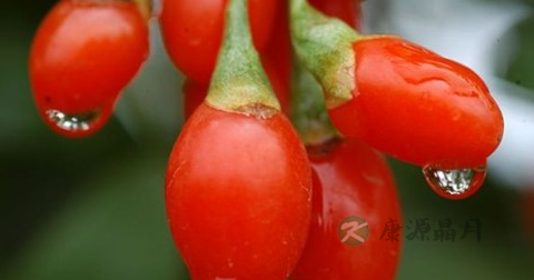高温急救方法 高温急救方法