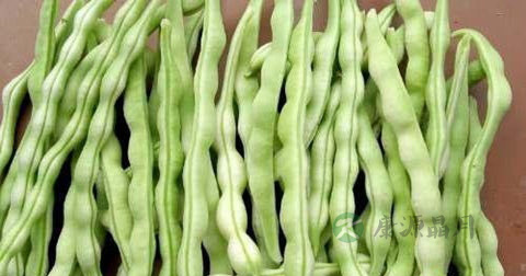 芸豆中毒有什么症状 芸豆中毒有什么症状