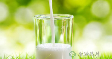 怎么补充肠道益生菌