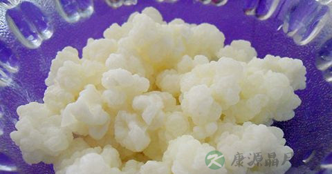 雪莲菌的功效 雪莲菌的功效