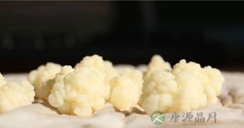 雪莲菌的功效 雪莲菌的功效