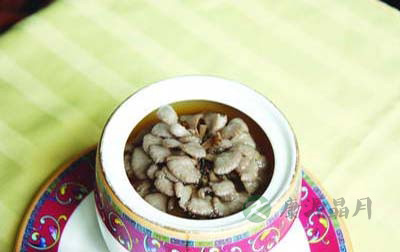 雪莲菌冬天怎么养 雪莲菌冬天怎么养
