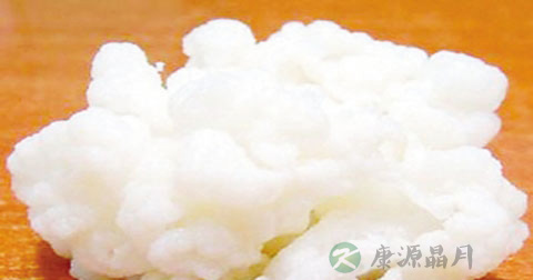 雪莲菌冬天怎么养 雪莲菌冬天怎么养