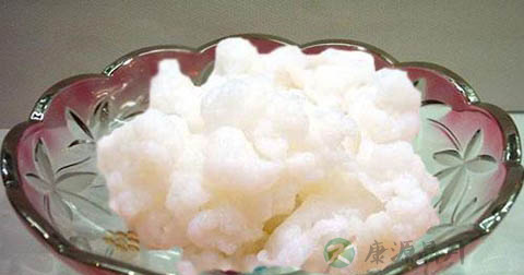 雪莲菌冬天怎么养 雪莲菌冬天怎么养