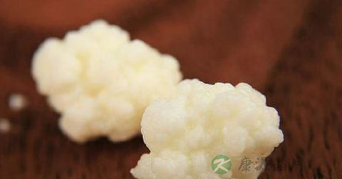 雪莲菌的功效 雪莲菌的功效