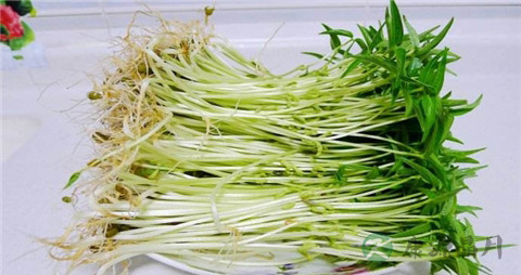糖尿病可以吃绿豆吗 糖尿病可以吃绿豆吗