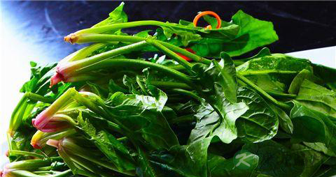 糖尿病人能吃菠菜吗 糖尿病人能吃菠菜吗