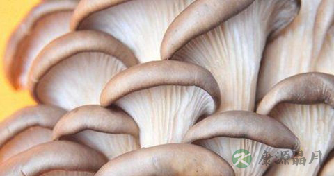 糖尿病能吃木耳吗 糖尿病能吃木耳吗