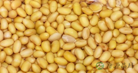糖尿病人能吃的食品保健品