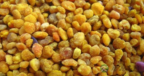 糖尿病可以吃花粉吗