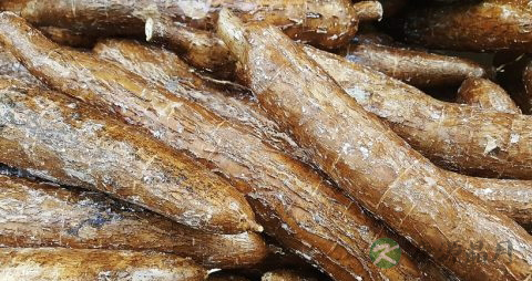 糖尿病人可以吃红豆吗