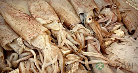 慢性肾脏病的定义 慢性肾脏病的定义