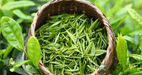 什么菜调节内分泌紊乱 什么菜调节内分泌紊乱