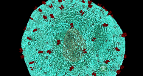 糖尿病足的溃疡的护理 糖尿病足的溃疡的护理