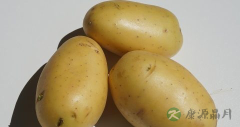 糖尿病肾病水肿怎么治疗